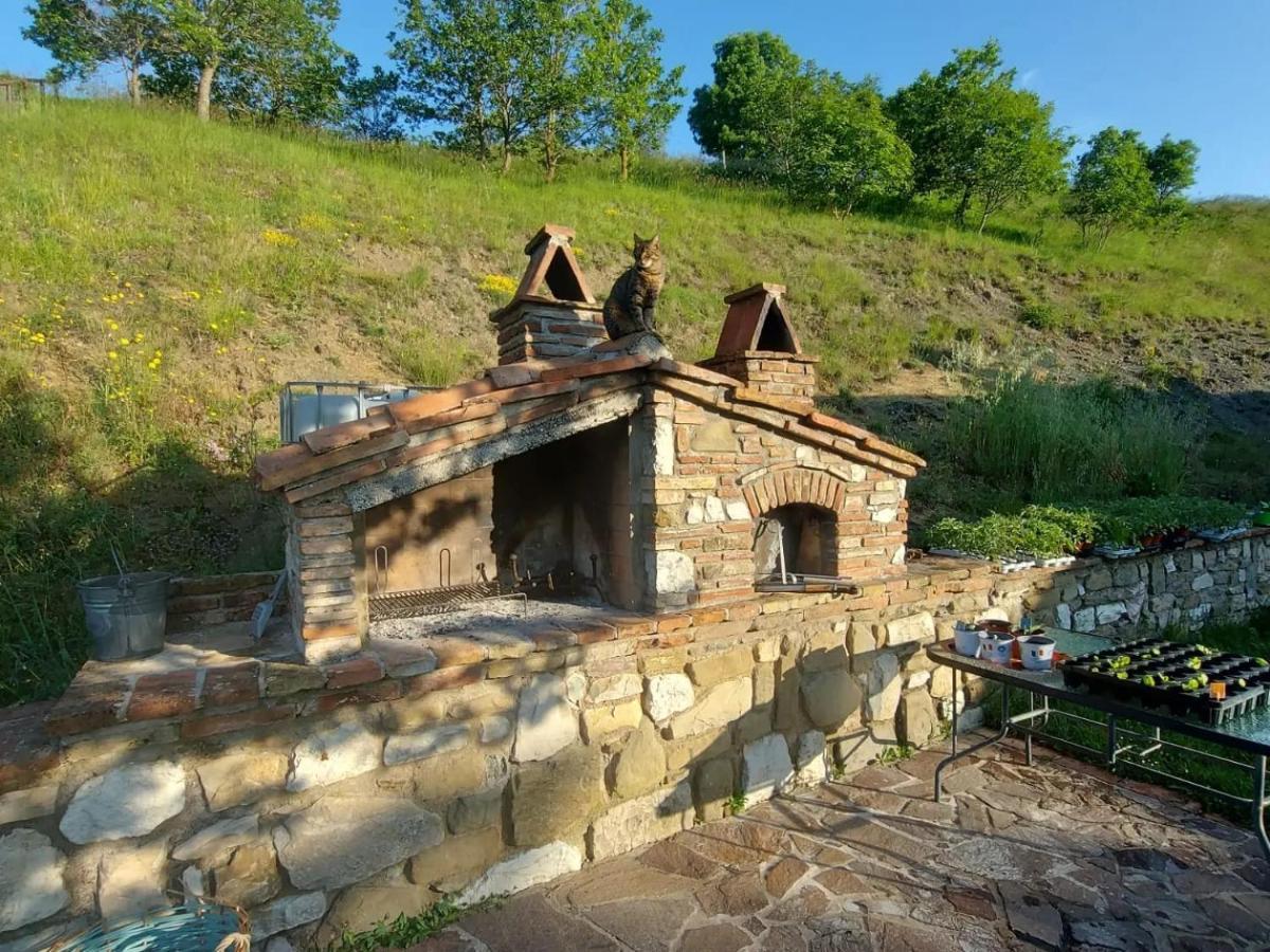 Bnb Bagno Di Bosco Gubbio Dış mekan fotoğraf
