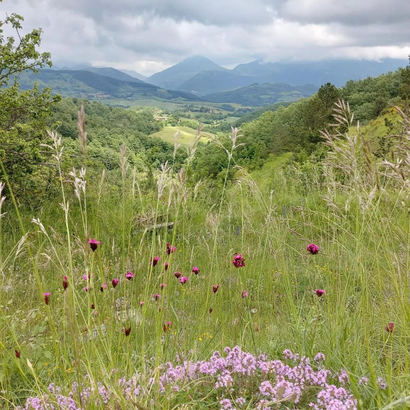 Bnb Bagno Di Bosco Gubbio Dış mekan fotoğraf