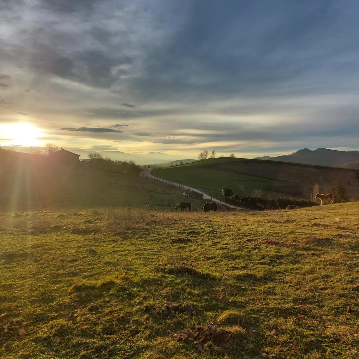 Bnb Bagno Di Bosco Gubbio Dış mekan fotoğraf