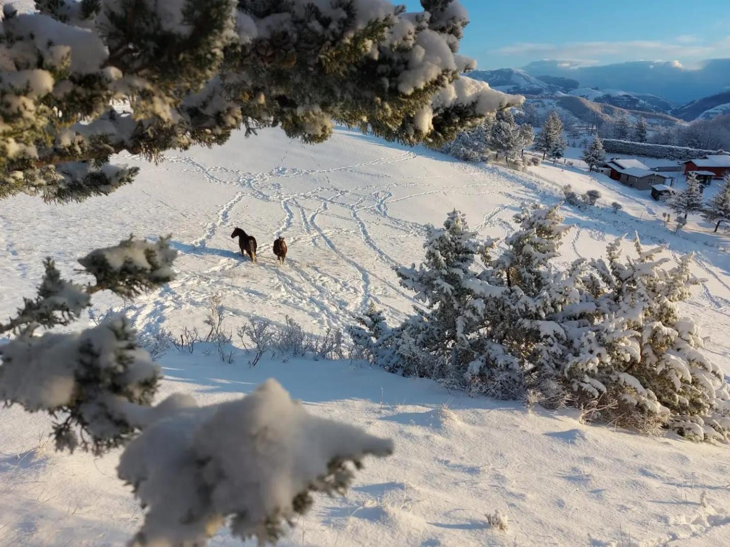 Bnb Bagno Di Bosco Gubbio Dış mekan fotoğraf